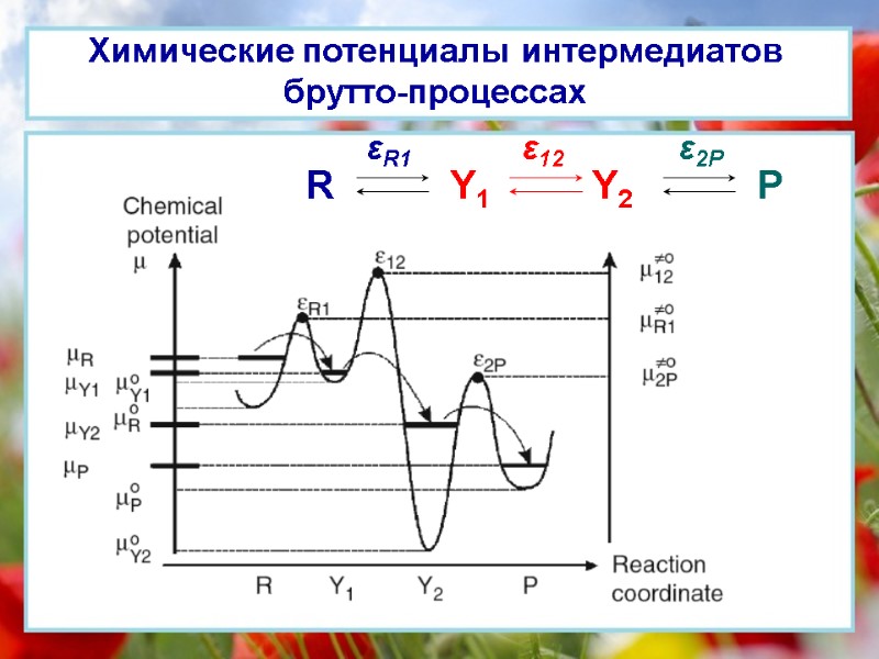 Химические потенциалы интермедиатов брутто-процессах